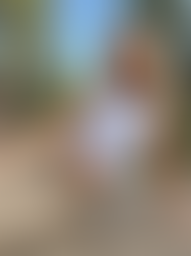 Geblurrte Content-Vorschau
