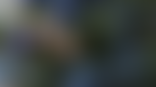 Geblurrte Content-Vorschau