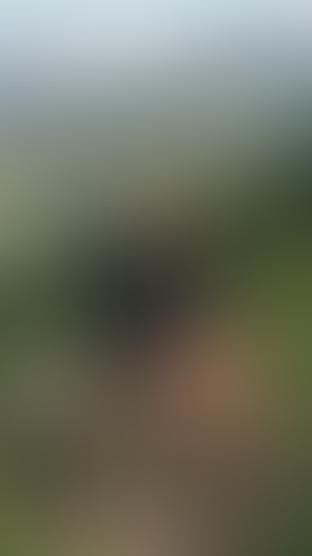 Geblurrte Content-Vorschau