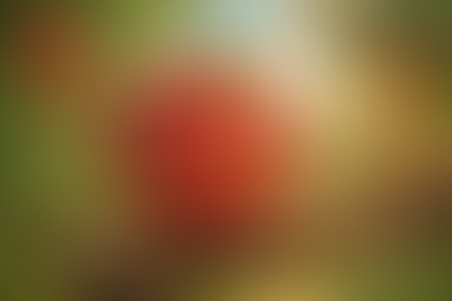 Geblurrte Content-Vorschau