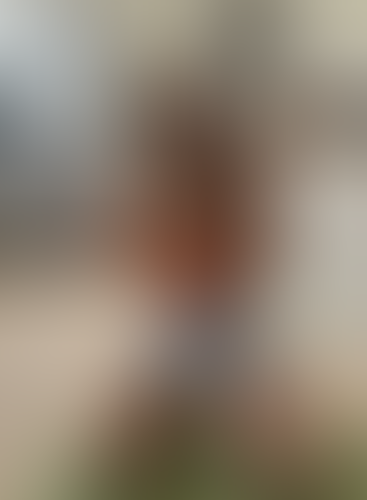 Geblurrte Content-Vorschau