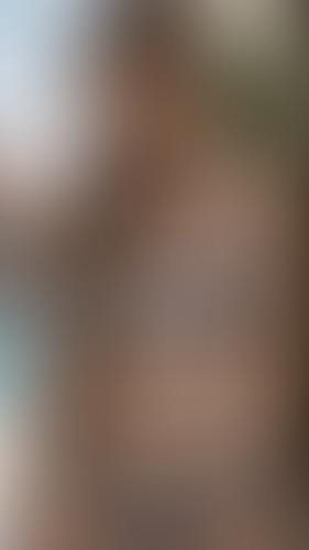 Geblurrte Content-Vorschau