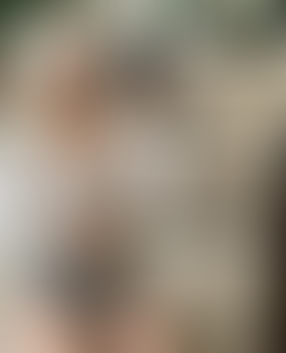 Geblurrte Content-Vorschau