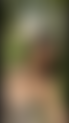 Geblurrte Content-Vorschau