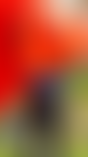 Geblurrte Content-Vorschau