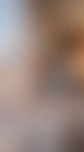 Geblurrte Content-Vorschau