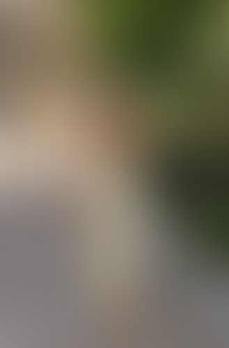 Geblurrte Content-Vorschau