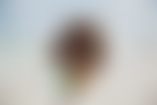 Blurred content preview