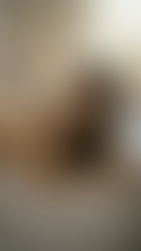 Geblurrte Content-Vorschau