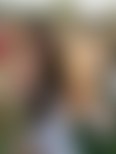 Blurred content preview