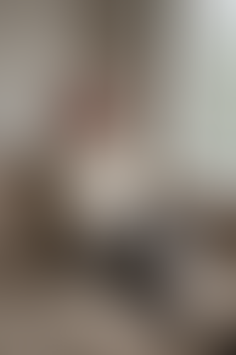 Geblurrte Content-Vorschau