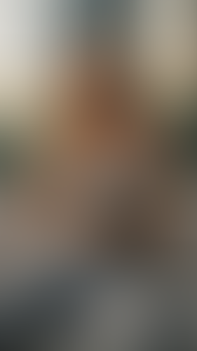 Geblurrte Content-Vorschau