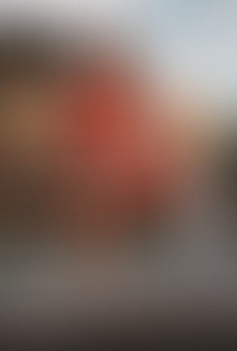 Blurred content preview