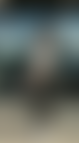 Geblurrte Content-Vorschau
