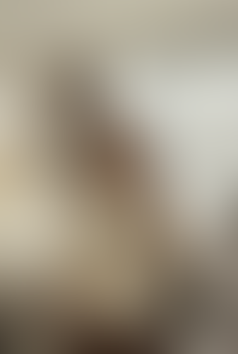 Geblurrte Content-Vorschau