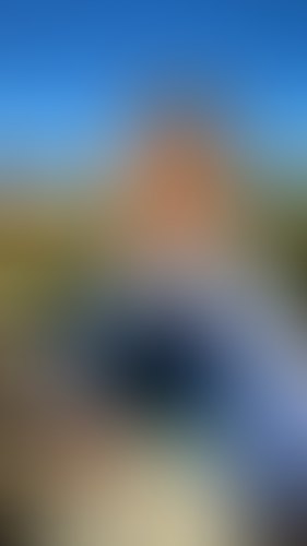 Geblurrte Content-Vorschau