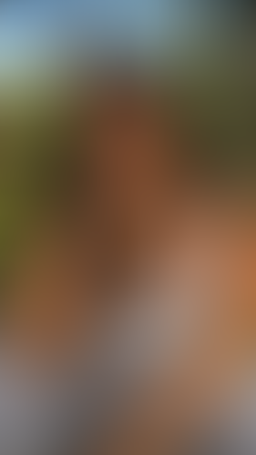 Geblurrte Content-Vorschau