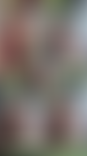 Geblurrte Content-Vorschau