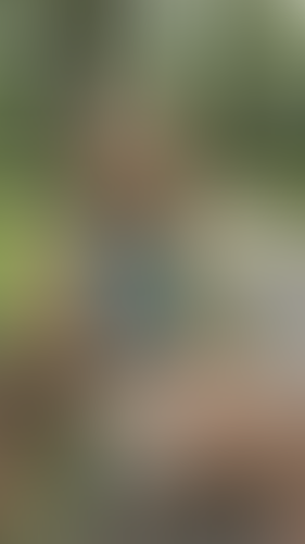 Geblurrte Content-Vorschau