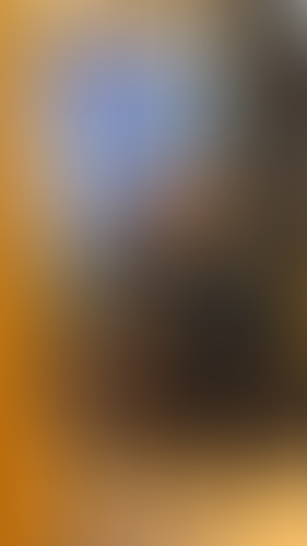 Geblurrte Content-Vorschau