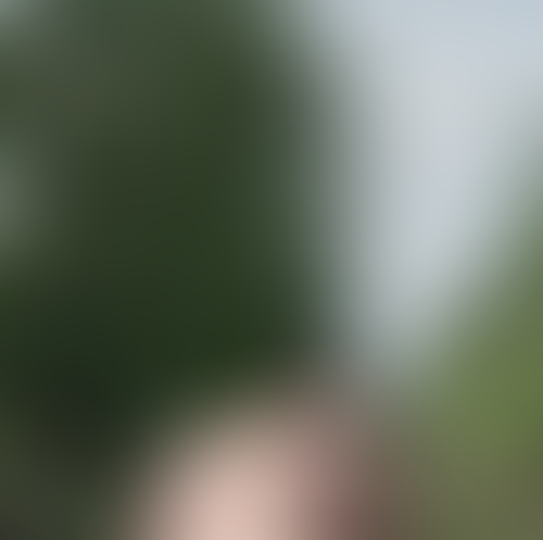 Geblurrte Content-Vorschau
