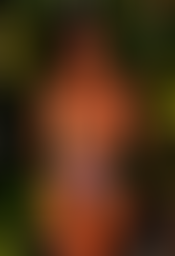 Geblurrte Content-Vorschau