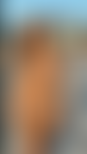 Geblurrte Content-Vorschau