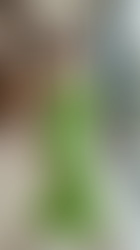 Geblurrte Content-Vorschau