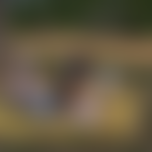 Geblurrte Content-Vorschau