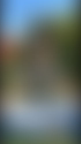 Geblurrte Content-Vorschau