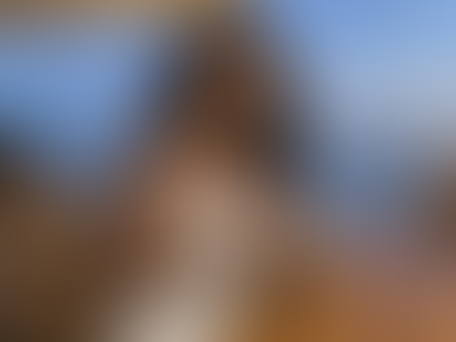 Blurred content preview