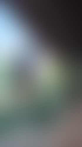 Geblurrte Content-Vorschau