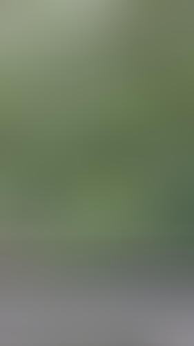 Geblurrte Content-Vorschau