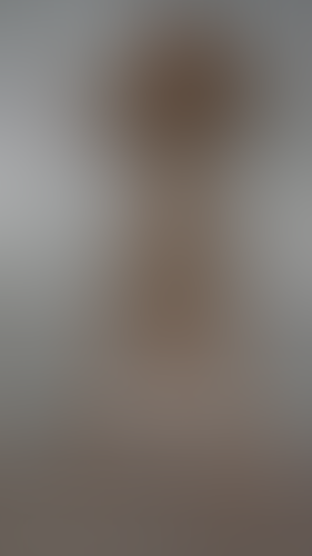 Geblurrte Content-Vorschau