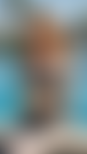 Geblurrte Content-Vorschau