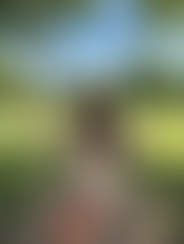 Blurred content preview
