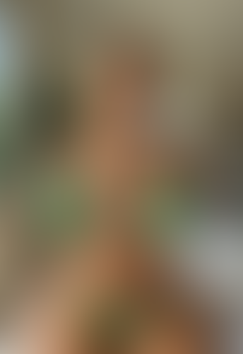 Geblurrte Content-Vorschau