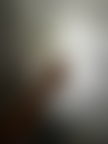 Geblurrte Content-Vorschau
