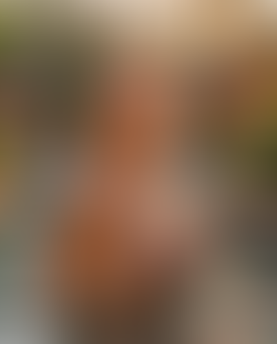 Geblurrte Content-Vorschau
