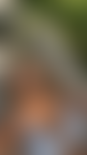Geblurrte Content-Vorschau