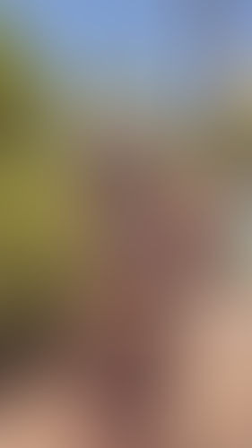Geblurrte Content-Vorschau
