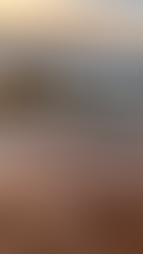 Geblurrte Content-Vorschau