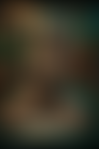 Geblurrte Content-Vorschau