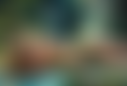 Blurred content preview