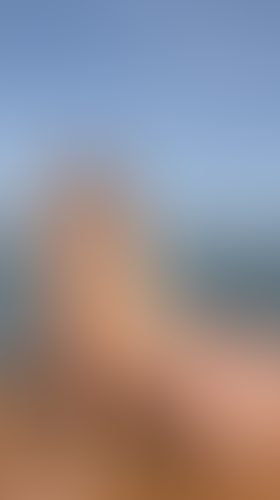 Geblurrte Content-Vorschau