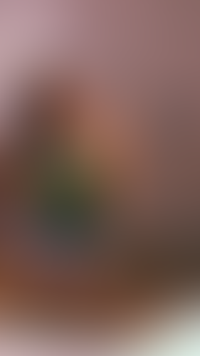 Geblurrte Content-Vorschau