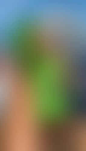 Geblurrte Content-Vorschau