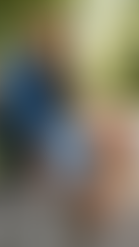Geblurrte Content-Vorschau