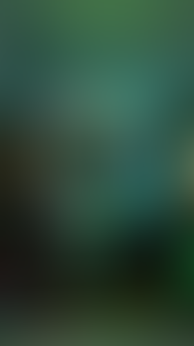 Geblurrte Content-Vorschau