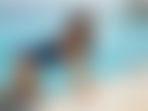 Geblurrte Content-Vorschau
